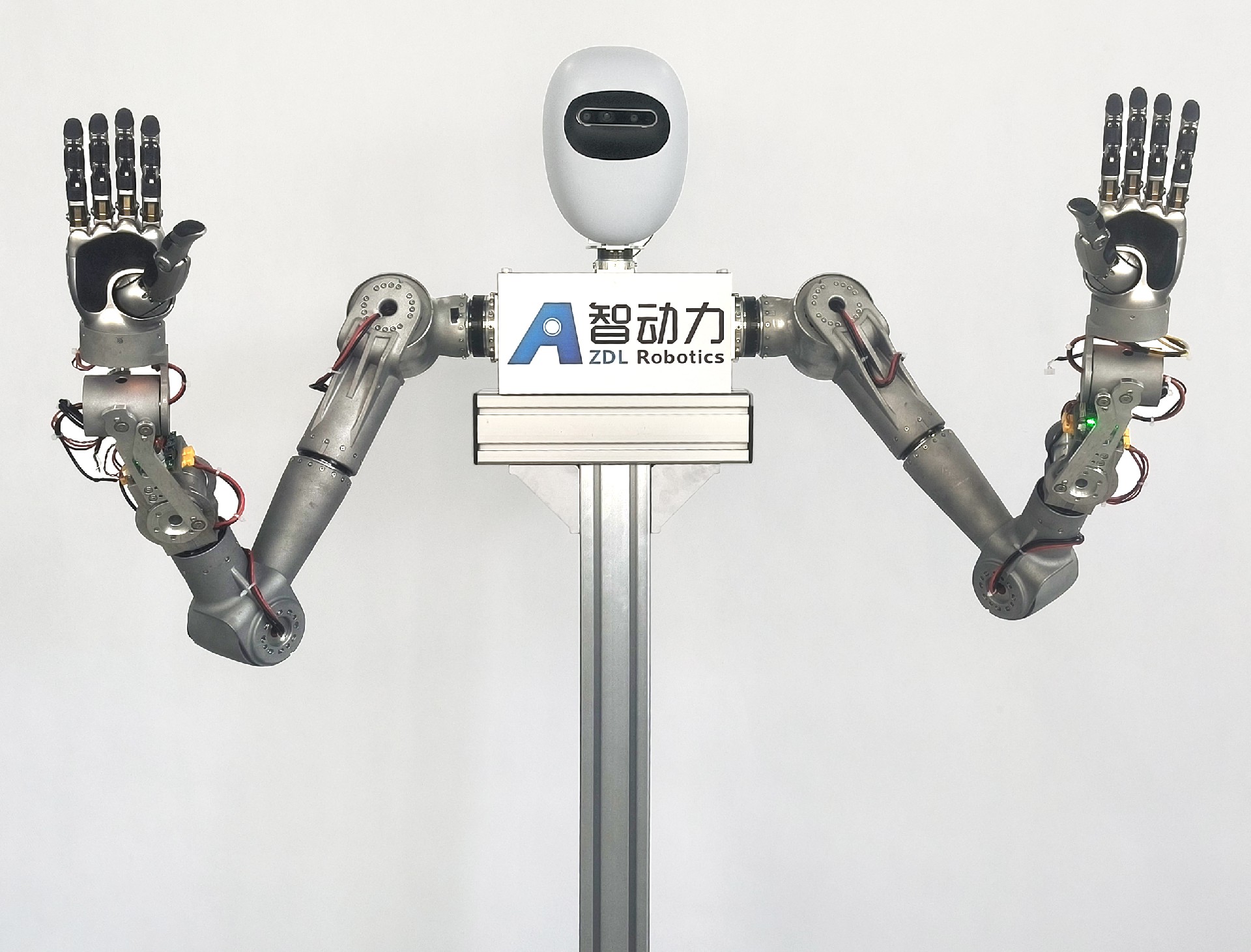 1758697852543601.jpg 人形双臂.jpg